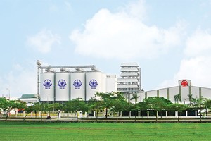 Halico tụt dốc không phanh, vốn nhà nước ngày càng teo tóp