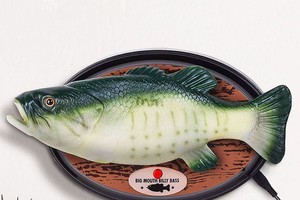 Những ý tưởng kinh doanh ngớ ngẩn đem về hàng tỷ đô la