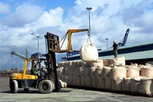 Sự gia tăng của xi măng nhập khẩu, chủ yếu từ Việt Nam đã buộc chính phủ Philippines áp thuế quan đối với nguyên liệu xây dựng này, nhằm bảo vệ ngành công nghiệp trong nước khỏi các doanh nghiệp nước ngoài.