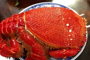 Cua huỳnh đế Australia được nhập về bán với giá 1,1-1,2 triệu đồng một kg.