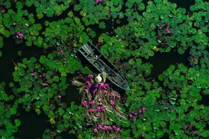 Vẻ đẹp miền Tây mùa nước nổi