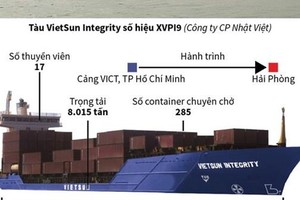 Toàn cảnh vụ chìm tàu chở gần 300 container trên sông Lòng Tàu