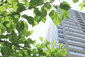 Tăng cường áp dụng tiêu chí đánh giá môi trường đối với các dự án đầu tư nhằm thúc đẩy tín dụng xanh