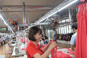 Rộng đường vào EU cho doanh nghiệp phát triển bền vững