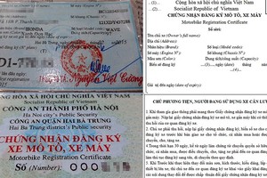 Giấy đăng ký xe đang được sử dụng (bên trái) và mẫu dự kiến áp dụng.