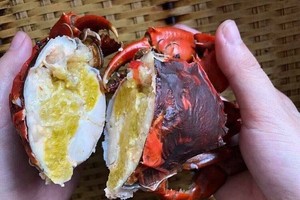 Cua cốm tại một cửa hàng hải sản ở TP HCM. Ảnh: HSHL.