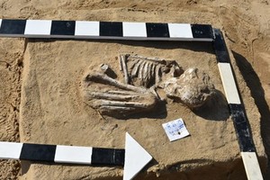 Một phần của ngôi mộ được phát lộ. (Nguồn: egypttoday.com/).