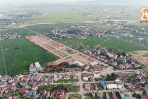 Đất nền – loại sản phẩm được coi là "của để dành" cho các nhà đầu tư trong thời gian gần đây.