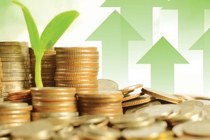 Cổ đông Hapharco được thưởng lớn