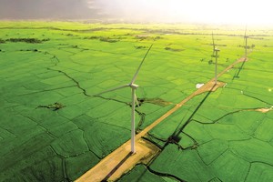 Bản chất của kinh doanh là phát triển bền vững