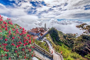 Sự giao hòa tuyệt mỹ giữa thiên nhiên và văn hóa của Sa Pa