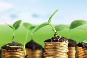 Gieo những hạt giống tốt cho thị trường chứng khoán