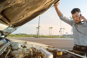 Cá nhân trực tiếp thực hiện hoạt động giám định tổn thất bảo hiểm phải có văn bằng từ cao đẳng trở lên phù hợp với lĩnh vực giám định.