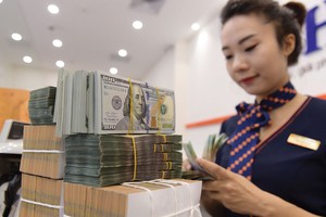 Dự trữ ngoại hối dồi dào là một trong những yếu tố giúp ổn định tỷ giá năm qua.