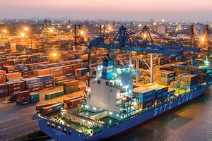 Cảng Đình Vũ đã và đang tiến tới mục tiêu trở thành cảng container chuyên nghiệp, hiện đại, có vị thế dẫn đầu khu vực miền Bắc.