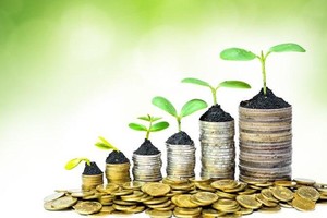 Phê duyệt Chiến lược tài chính toàn diện quốc gia