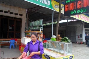 Làng bánh chưng Bờ Đậu là một trong 5 làng làm bánh chưng nổi tiếng nhất khu vực miền Bắc. (Ảnh: HV/Vietnam+).