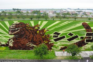 Ngắm triển lãm tranh nghệ thuật quái vật Godzilla, người đẹp Marilyn Monroe... trên ruộng lúa tại Nhật Bản