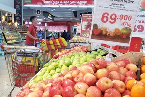 (Ảnh minh họa: Hoàng Hùng/TTXVN).