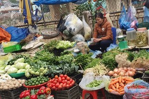 Các loại thực phẩm được bày bán đã khá đa dạng và đầy đủ trong ngày mùng 4 Tết. (Ảnh: PV/Vietnam+).