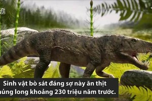 Cá sấu ăn thịt khủng long cách đây 230 triệu năm