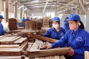 Doanh nghiệp niêm yết tìm cách khai thác thị trường mới