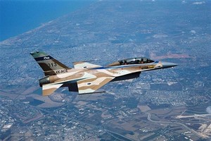 Hệ thống này có thể tự động giành quyền kiểm soát máy bay. (Nguồn: AFP/TTXVN).