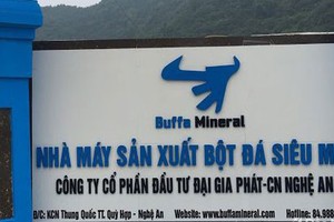 Đình chỉ hoạt động 6 tháng một công ty sản xuất bột đá thiếu đánh giá tác động môi trường