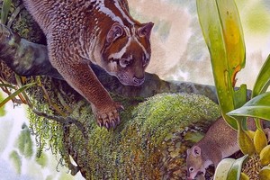 Mô phỏng Lekaneleo roskellyae săn mồi trong rừng mưa ở đầu thế Trung Tân. Ảnh: CNN.