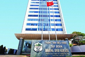 Việc thanh lý các công ty con thuộc ngành điện được coi là giải pháp hợp lý cho Hoàng Anh Gia Lai nhằm giảm bớt sự dàn trải và tập trung vào ngành nghề chủ lực.