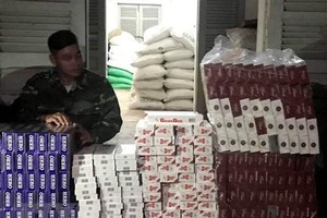 (Ảnh minh hoạ. Nguồn: Công Mạo/TTXVN).