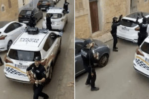 Ảnh: Heidi Friedenberger.