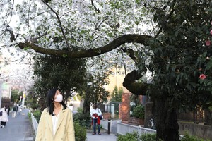 Người dân đeo khẩu trang phòng lây nhiễm COVID-19 tại Tokyo, Nhật Bản, ngày 22/3. (Ảnh: THX/TTXVN).