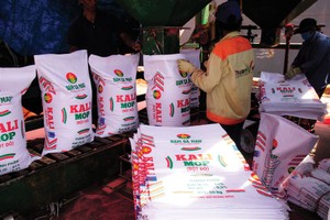 Cổ phiếu phân bón: Tốt xấu đan xen