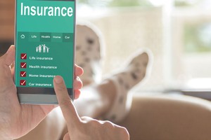 Mua hàng theo nhu cầu, với những sản phẩm được đóng gói, đơn giản và thuận tiện đang là xu hướng.