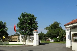 Ảnh Internet