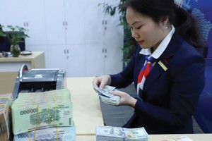 Lợi nhuận các ngân hàng lớn năm nay sẽ giảm tối thiểu 40%.