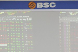 BSC và TVS lỗ nặng trong quý I/2020