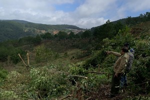 Để xảy ra sai phạm trong quản lý rừng nguyên Giám đốc Sở NN- PTNT tỉnh Lâm Đồng bị khởi tố.