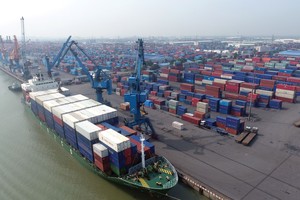 Cảng Đình Vũ (DVP) chốt quyền tạm ứng cổ tức 25% bằng tiền mặt