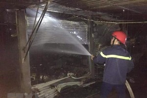 (Ảnh minh họa: TTXVN phát).