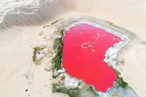 Hồ muối đỏ như máu giữa lòng sa mạc