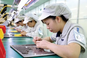 Đón sóng FDI: Chậm đón đại bàng sẽ chỉ vợt được chim sẻ