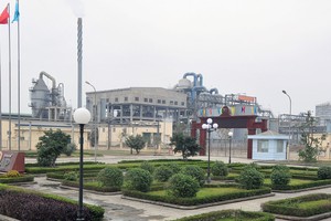 Khó cứu nổi các dự án thua lỗ thuộc Vinachem