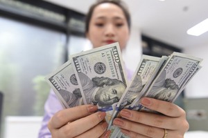 “Gió đổi chiều” với doanh nghiệp có dư nợ ngoại tệ