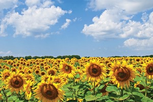 Phát huy mối quan hệ đồng hành giữa báo chí và doanh nghiệp