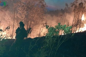 Cháy rừng tại Hà Tĩnh.