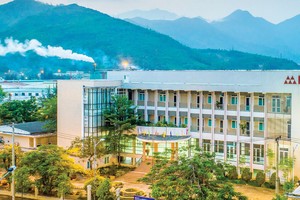 Cao su Đà Nẵng (DRC) phòng thủ khi thị trường gặp khó