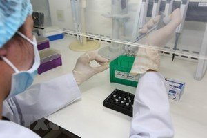 (Ảnh: TTXVN/Vietnam+).