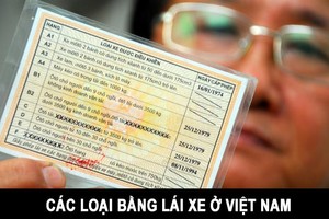 Chính phủ trình quy định bằng lái xe có 12 điểm/năm, mất điểm phải thi lại